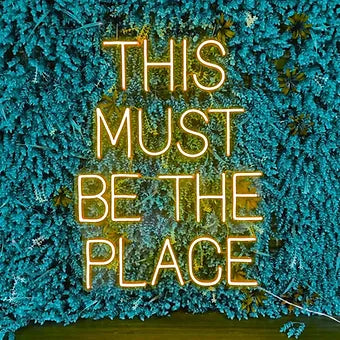 THIS MUST BE THE PLACE