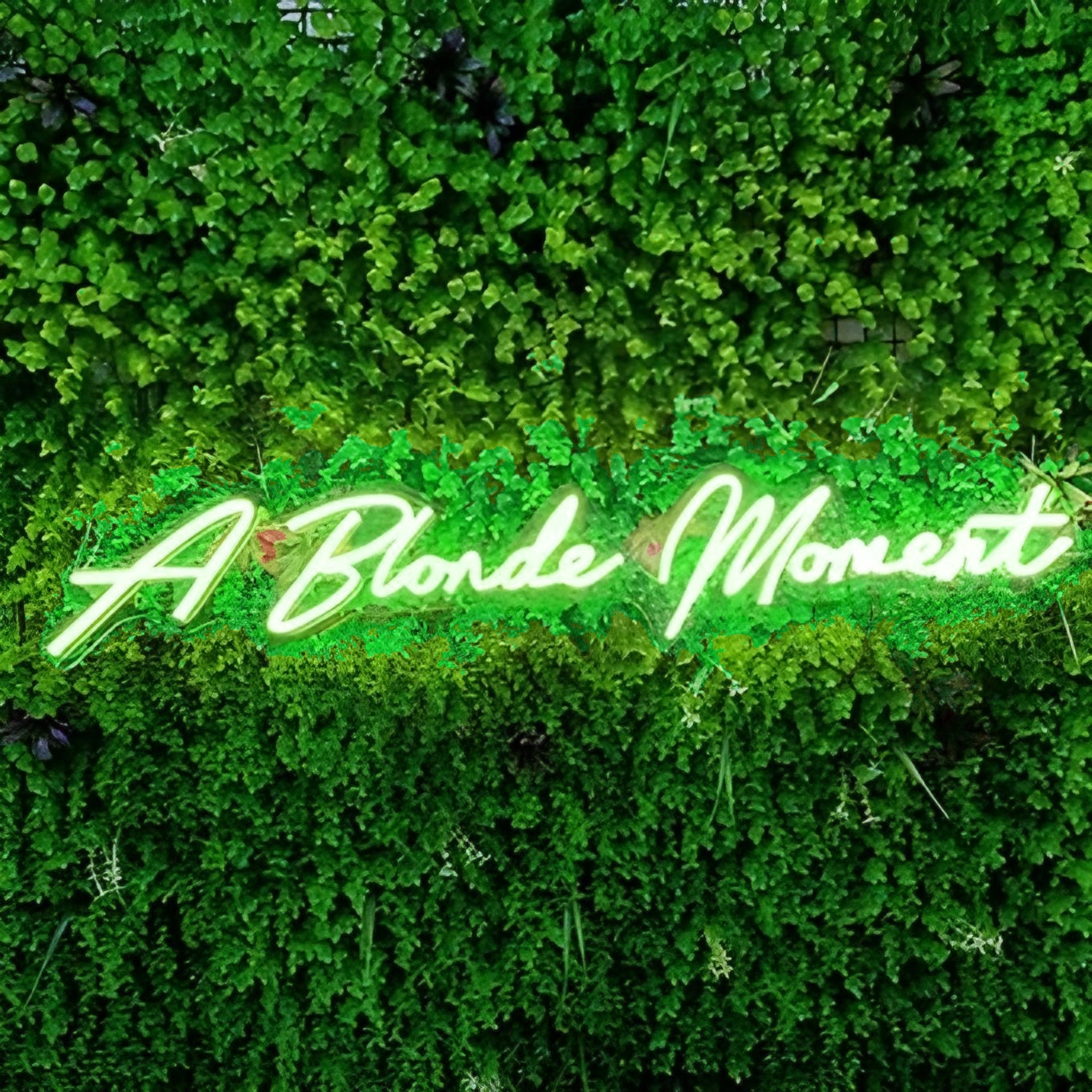 A Blonde Moment