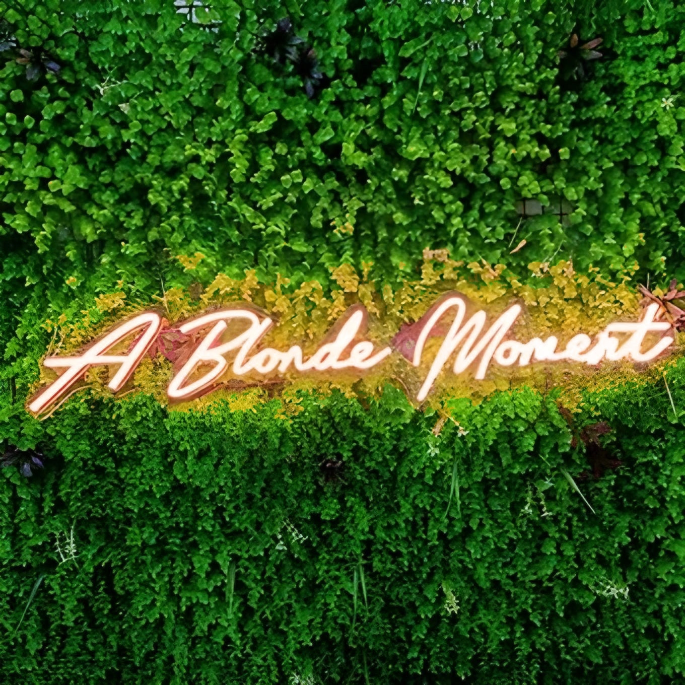 A Blonde Moment
