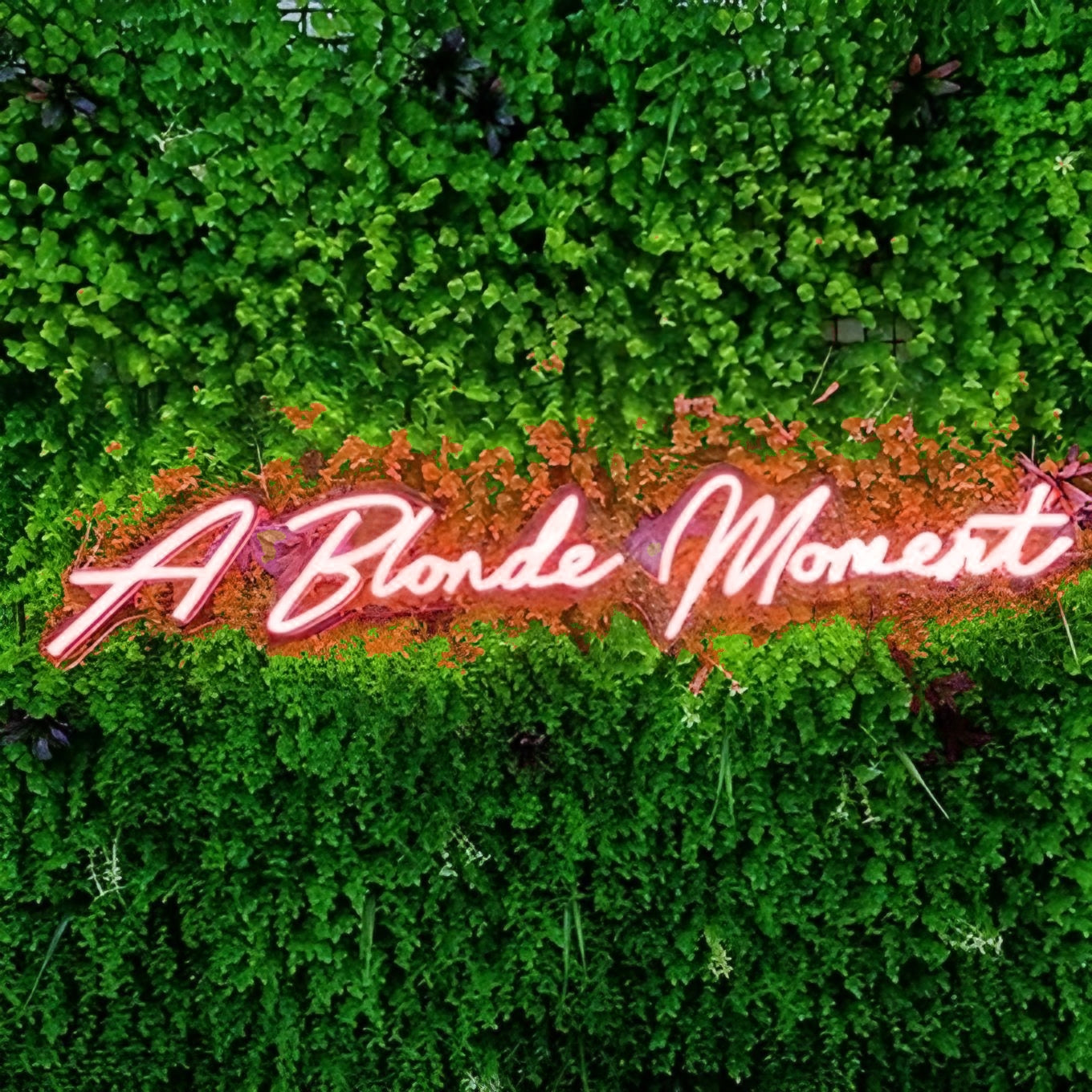 A Blonde Moment