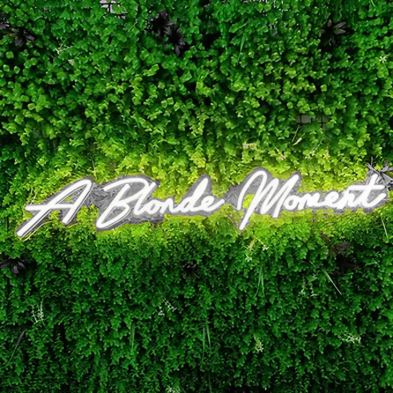A Blonde Moment