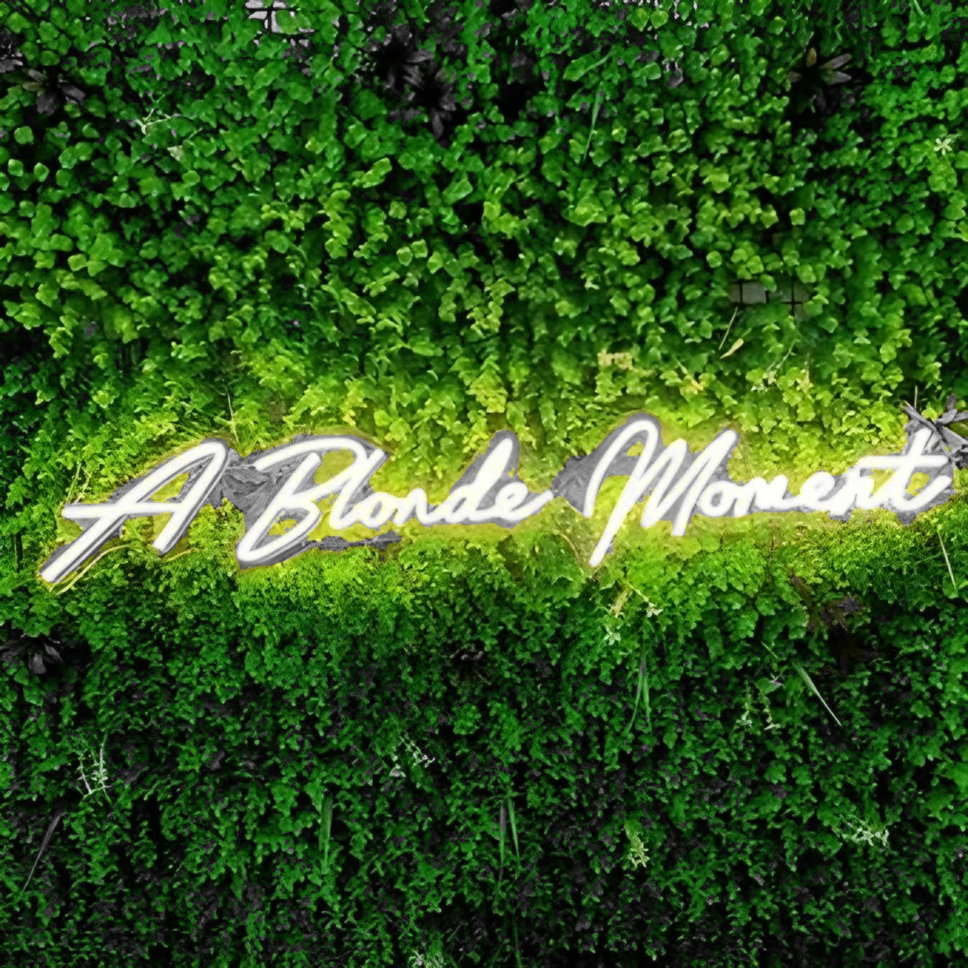 A Blonde Moment