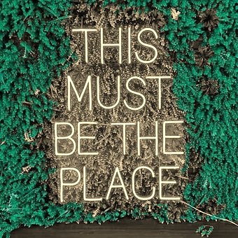 THIS MUST BE THE PLACE