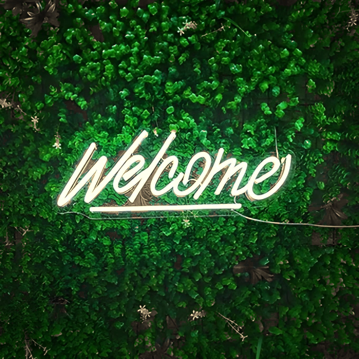 Welcome