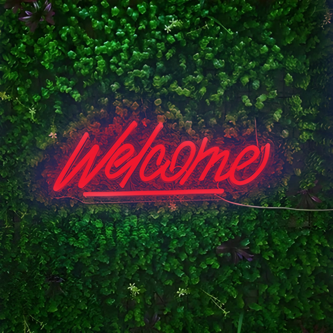 Welcome