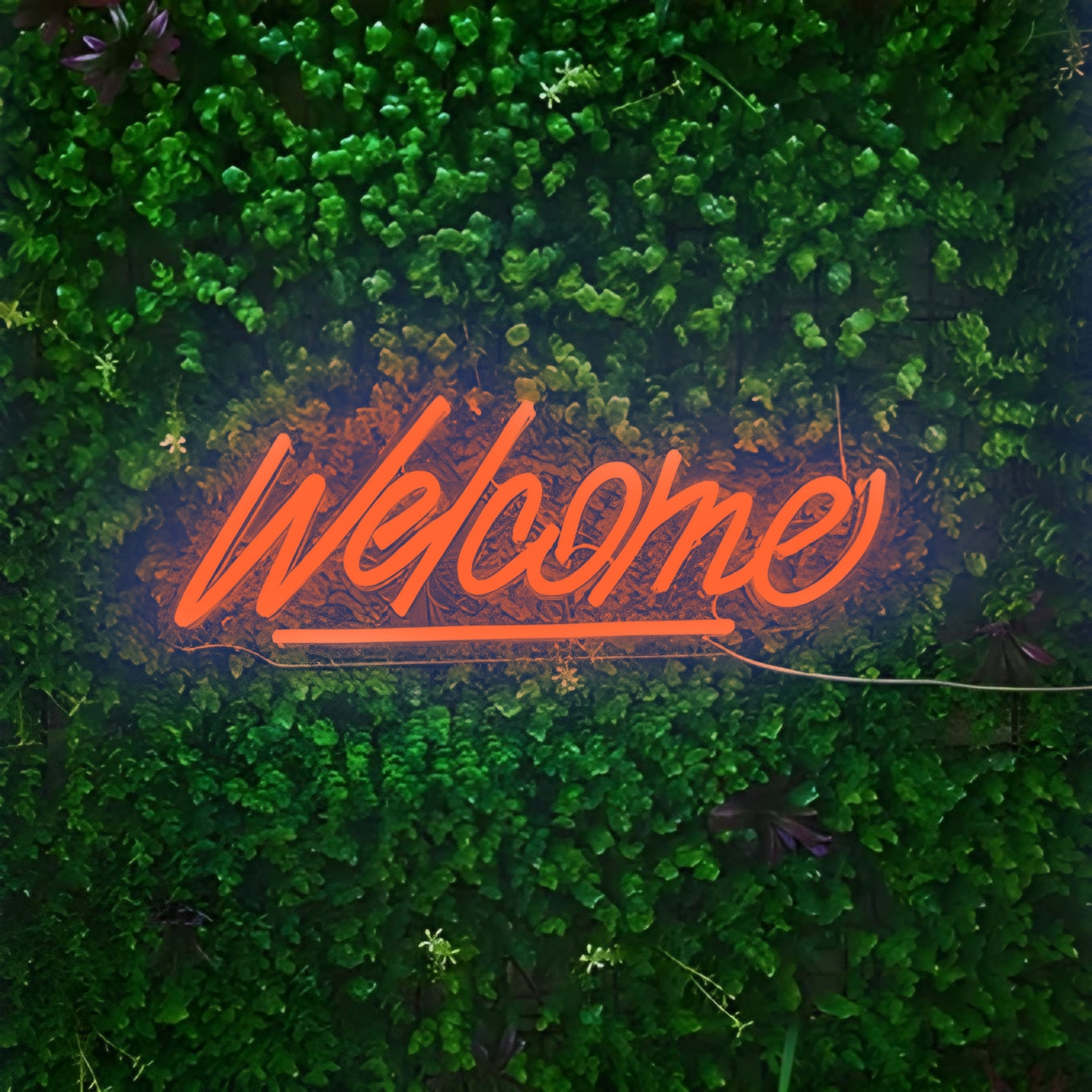 Welcome