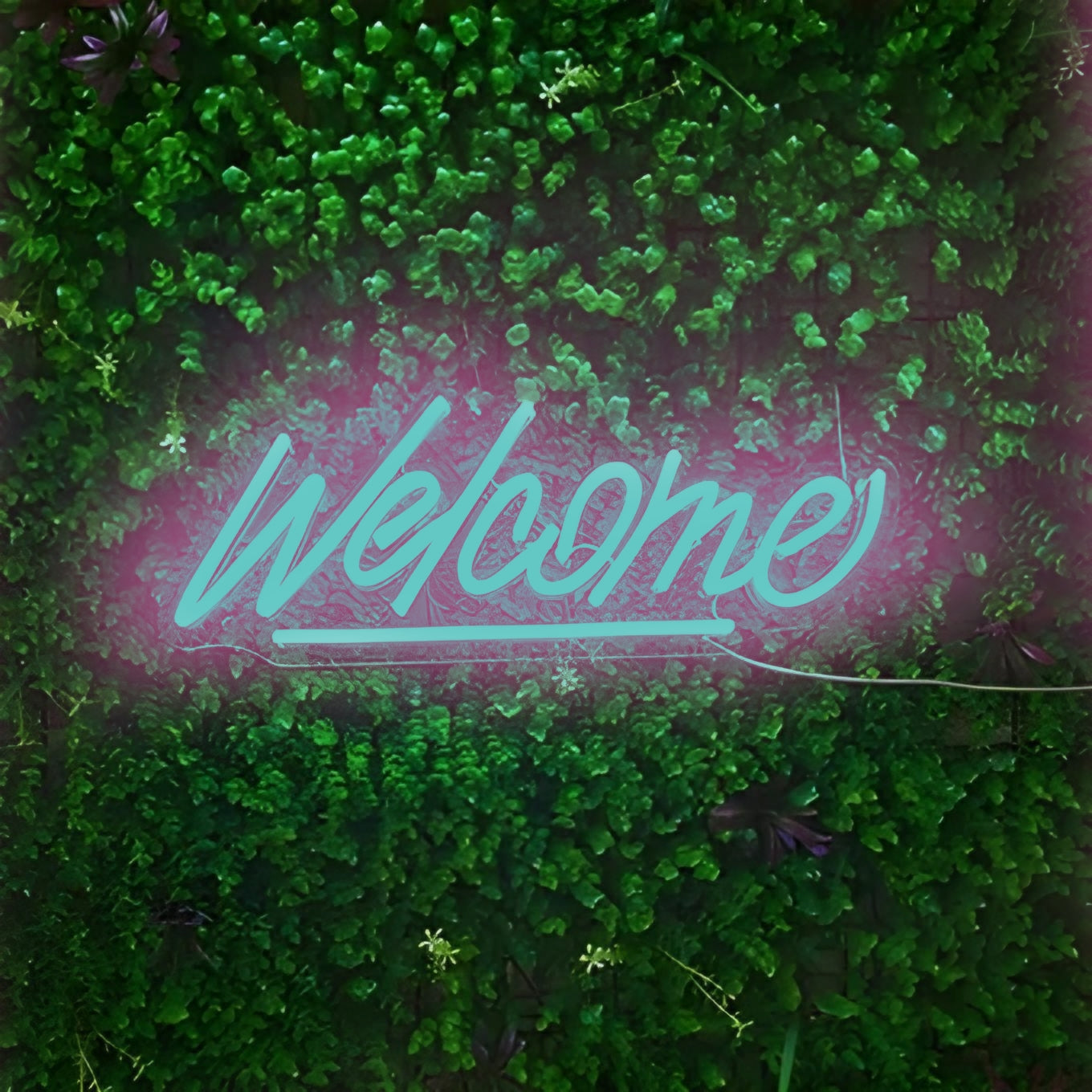 Welcome