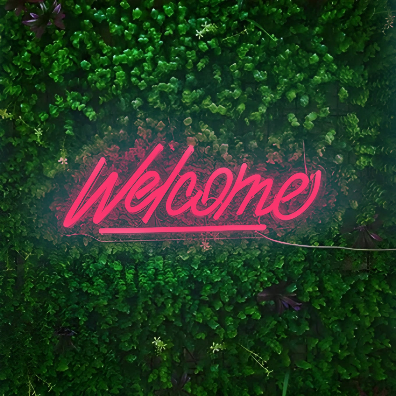 Welcome
