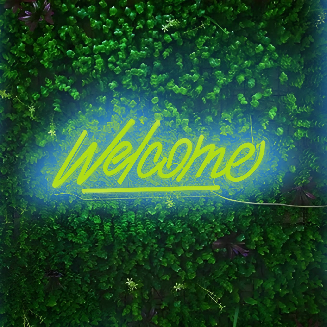 Welcome