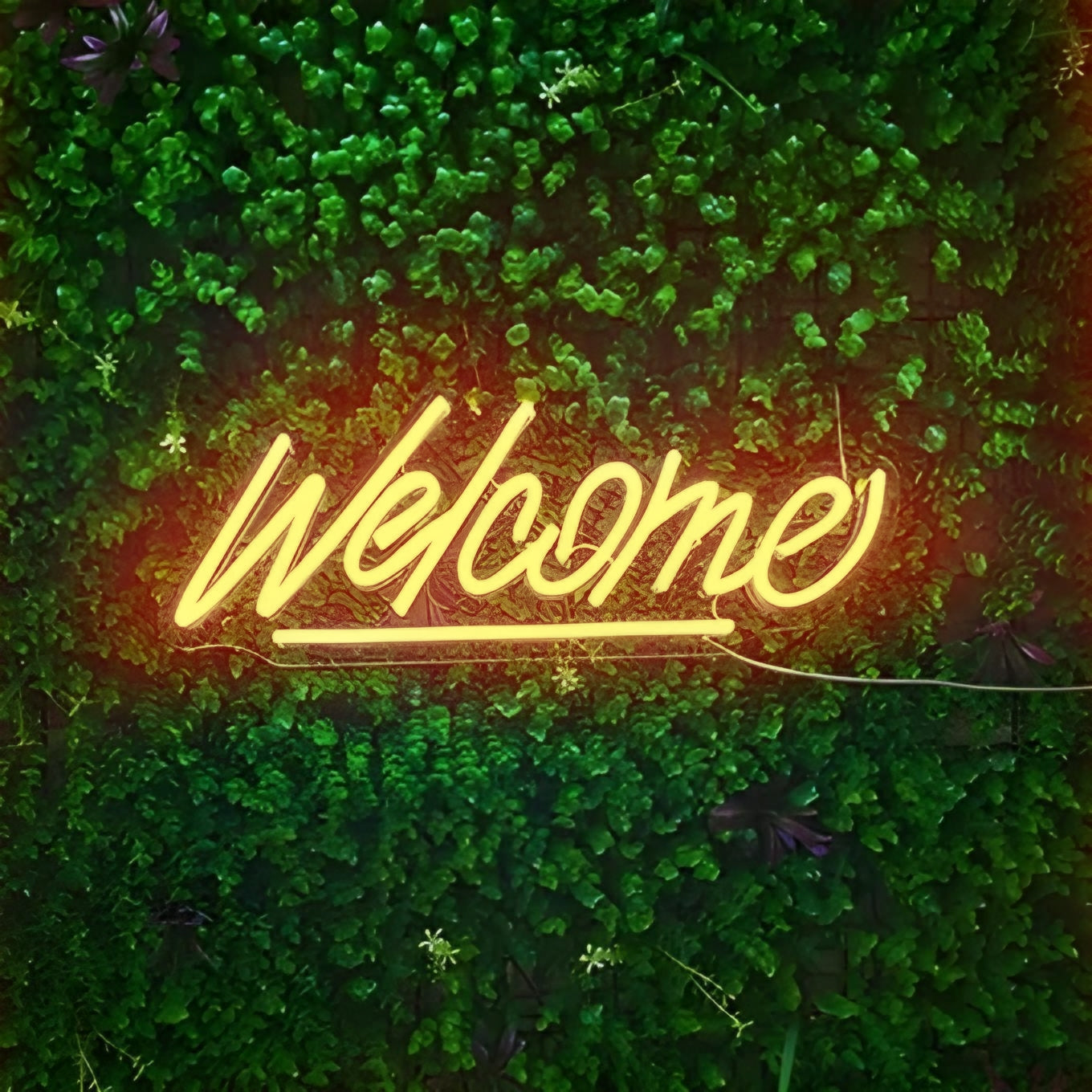 Welcome