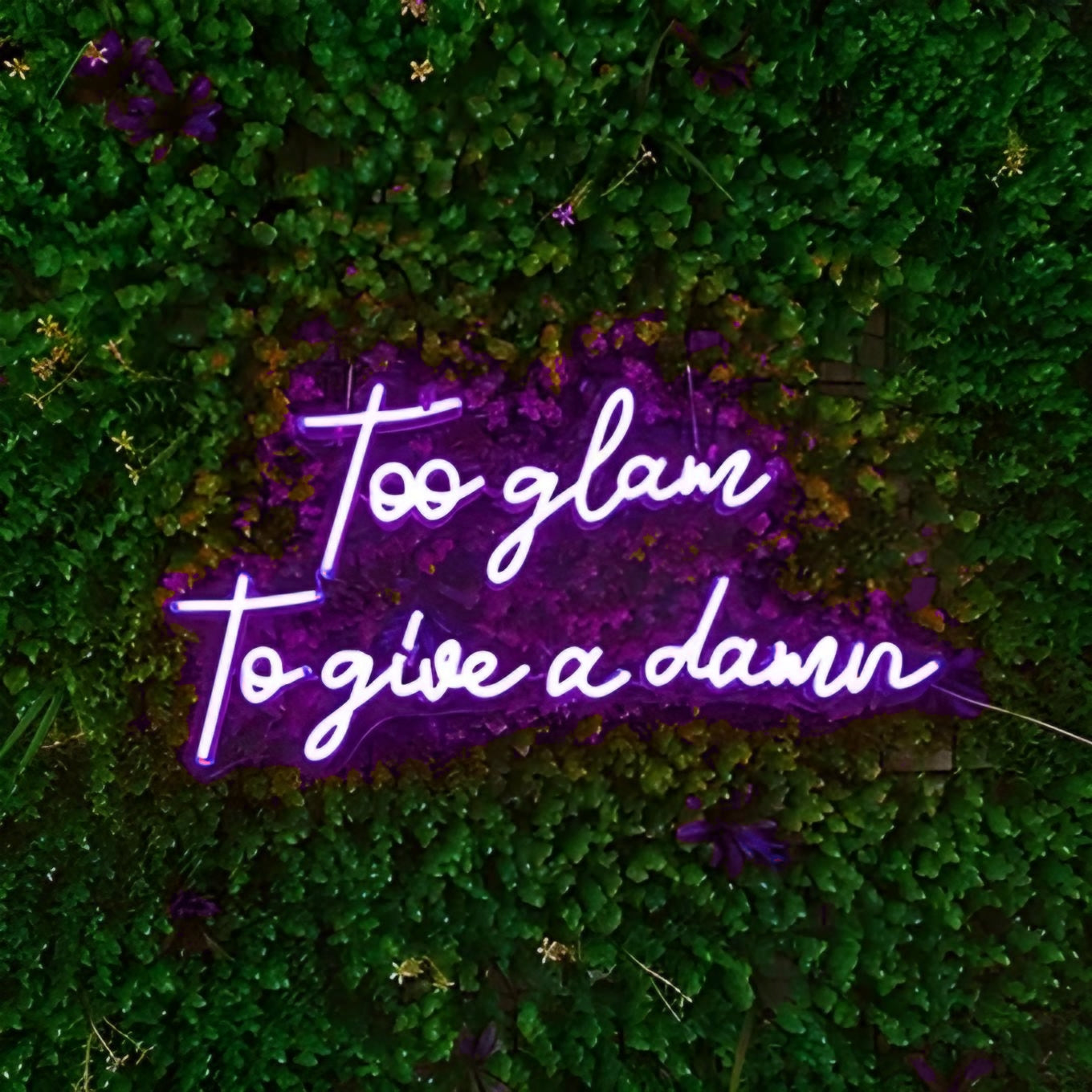 too glam to give a damn
