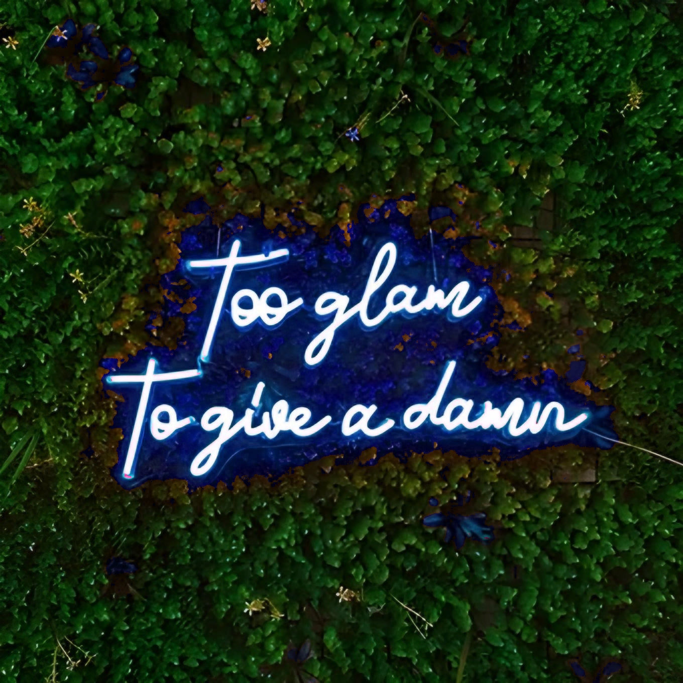 too glam to give a damn