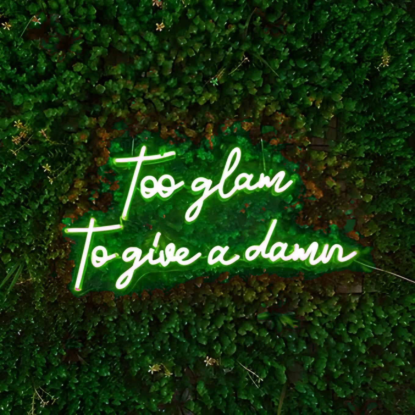 too glam to give a damn