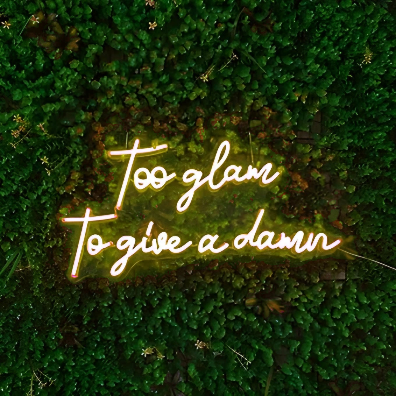 too glam to give a damn
