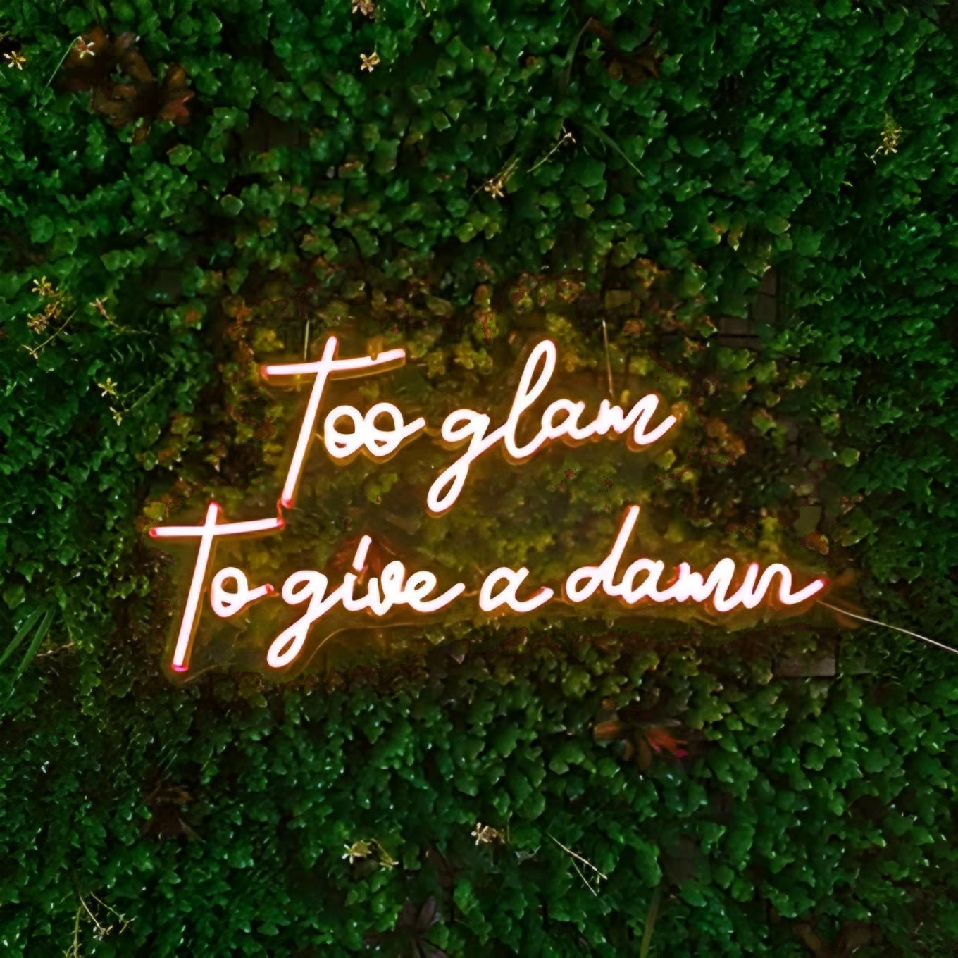 too glam to give a damn