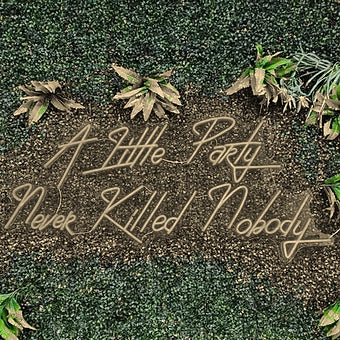 A little Party never killed nobody