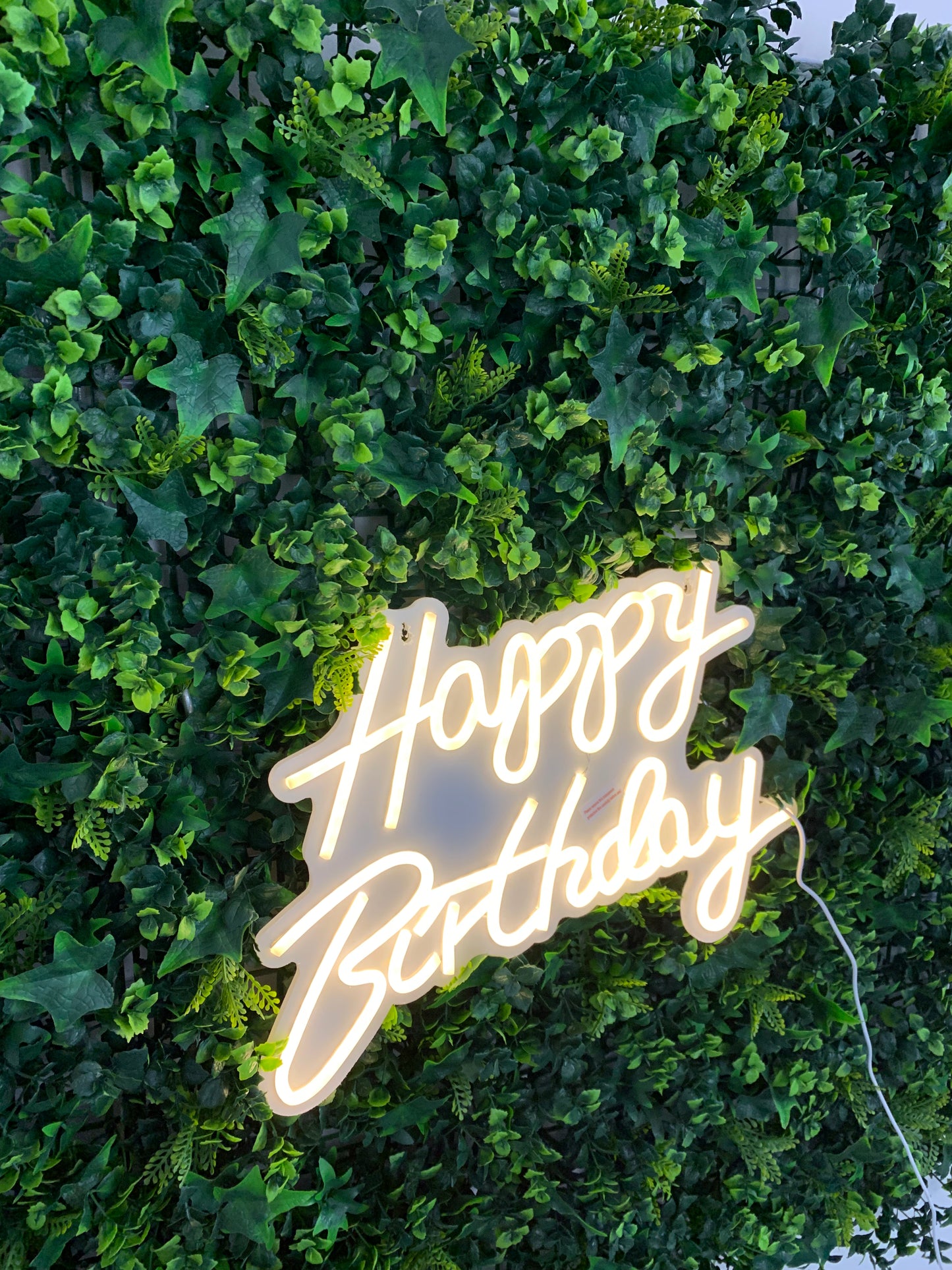 HAPPY BIRTHDAY' silicone LED Neon sign with fitting kit