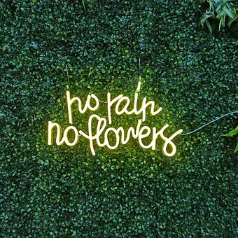 no rain no flowers