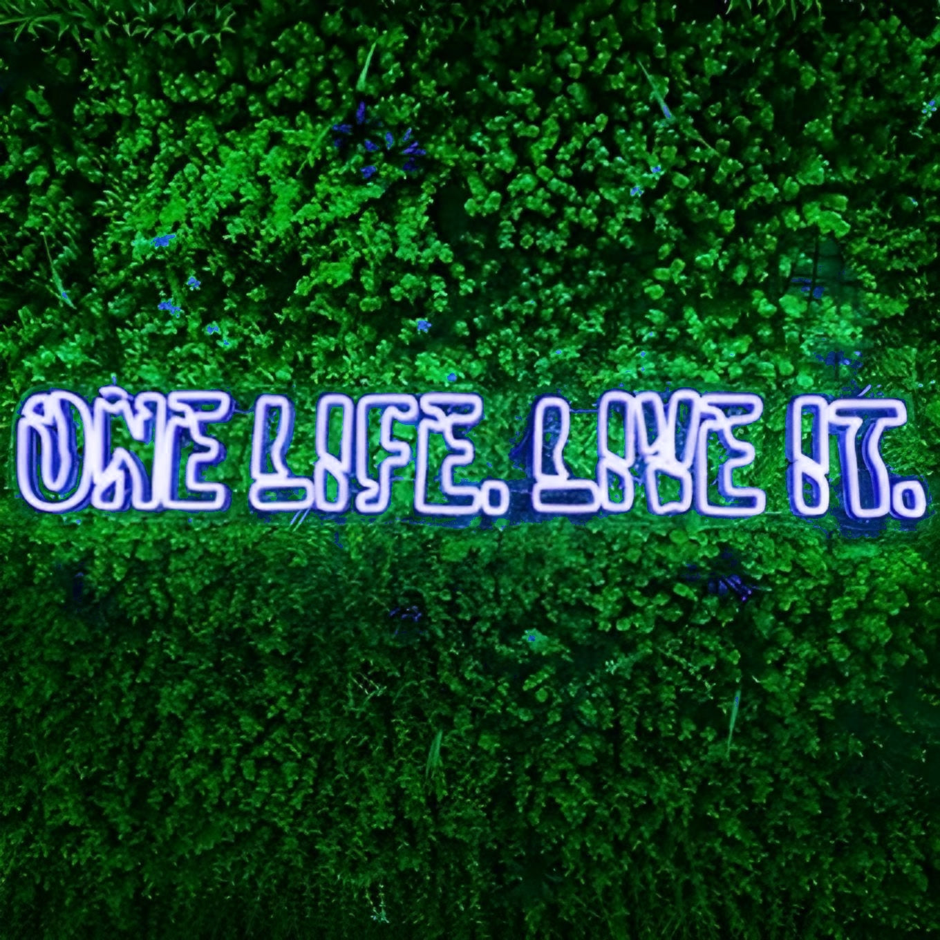 ONE LIFE. LIVE IT