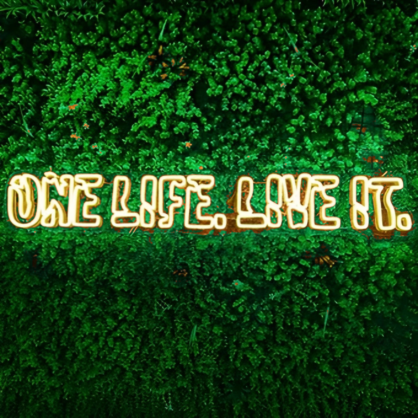 ONE LIFE. LIVE IT