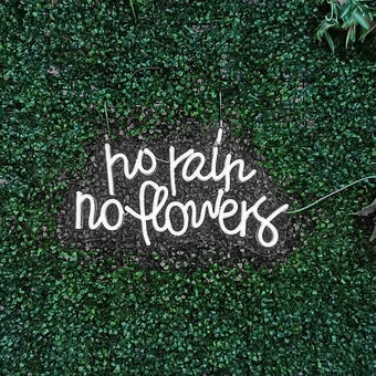 no rain no flowers