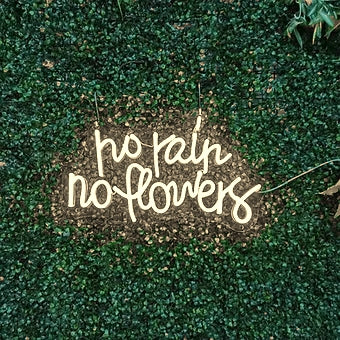 no rain no flowers