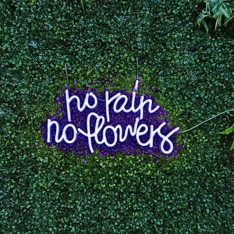 no rain no flowers