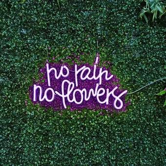 no rain no flowers