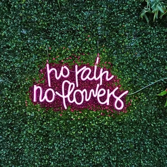 no rain no flowers