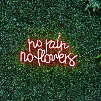 no rain no flowers