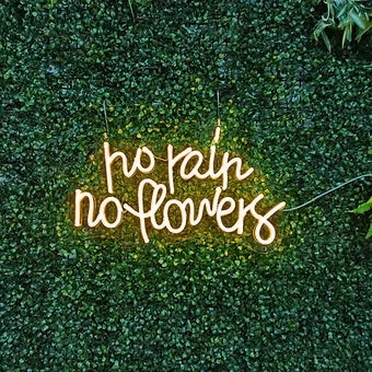 no rain no flowers