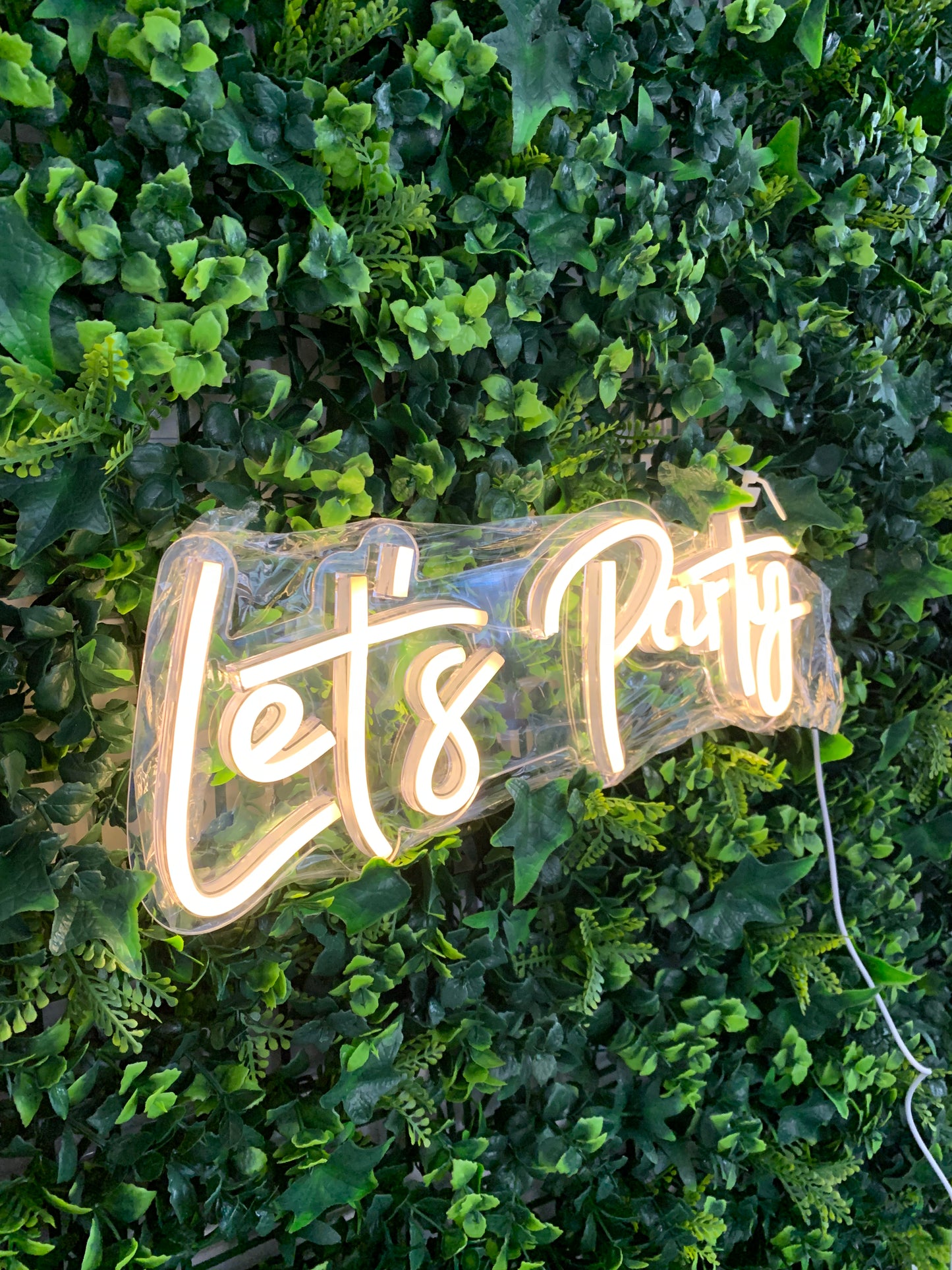 LETS PARTY' silicone LED Neon sign with fitting kit